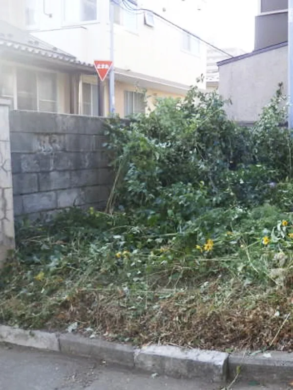 草刈り・整地の作業前